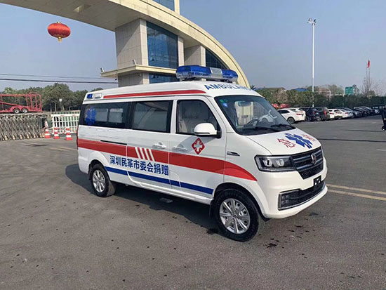 國六金杯海獅救護車